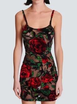 Shop Burnout Velvet Dress With Rose Print Women Dresses